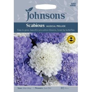 【種子】Johnsons Seeds Scabious Musical Prelude スカビオサ ...