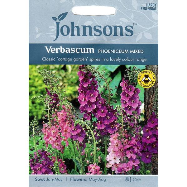 【種子】Johnsons Seeds Verbascum phoeniceum Mixed ヴァーバ...