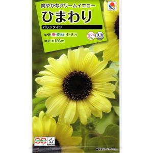 花種子 ひまわり バレンタイン タキイ種苗のタネ
