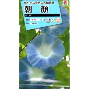 花種子 朝顔 水月 タキイ種苗のタネ