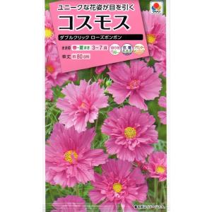 花種子 お徳用パック！ コスモス畑 センセーション混合 タキイ種苗の