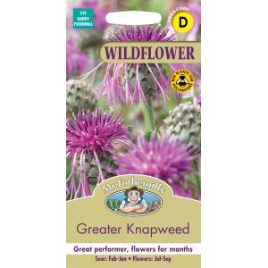 【種子】Mr.Fothergill's Seeds WILDFLOWER Greater Knapweed ワイルドフラワー グレイター・ナップウィード（ヤグルマギク） ミスター・フォザーギルズシード｜gardeningivy