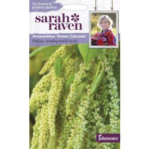 【種子】Johnsons Seeds Sarah Raven Cut flowers &amp; gorge...