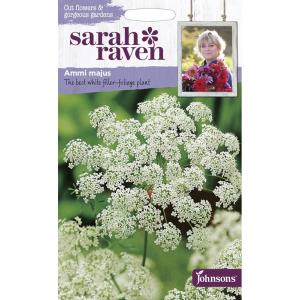 【種子】Johnsons Seeds Sarah Raven Cut flowers &amp; gorgeous gardens Ammi majus サラ・レイブン アミ・マジャス （ビショップス・ウィード）