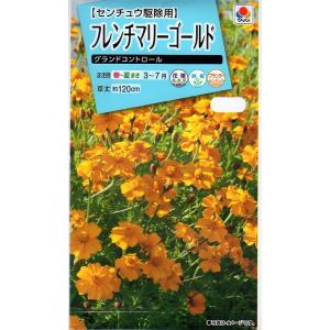 花種 NL150 フレンチマリーゴールド ホットパックオレンジ 小袋