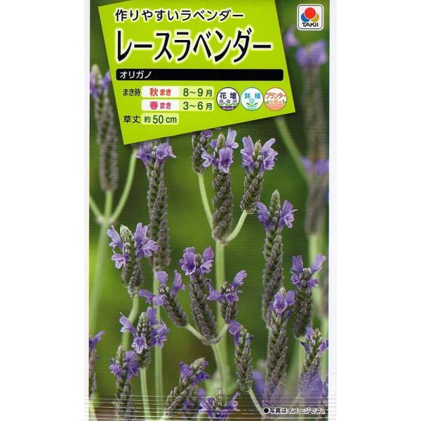 【種子】レースラベンダー オリガノ タキイ種苗のタネ