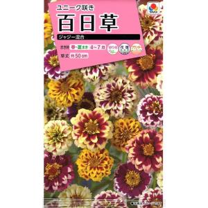 花種子 ふうせんかずら トーホクのタネ : Gardener s Shop Ivy - 通販