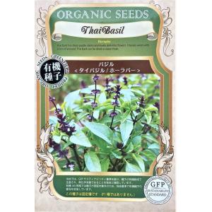 ハーブ種子 マロウ（うすべにあおい） 藤田種子のタネ : Gardener s