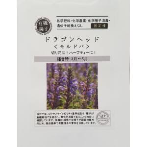 有機種子 ドラゴンヘッド＜モルドバ＞ グリーンフィールドプロジェクトのタネ