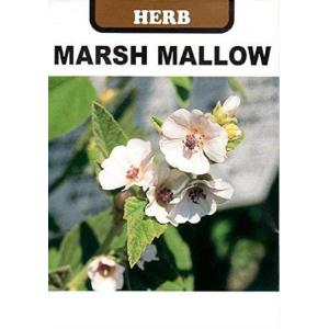 ハーブ種子 マロウ（うすべにあおい） 藤田種子のタネ : Gardener s