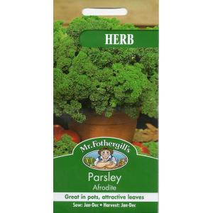 Mr.Fothergill's Seeds HERB Parsley Aphrodite ハーブ パセリ アフロディーテ ミスター フォザーギルズシード