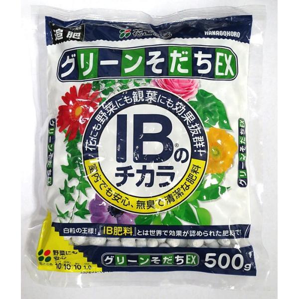 【肥料】花ごころ グリーンそだちX 500g