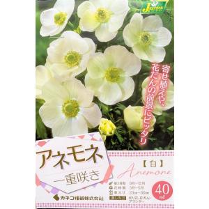 花球根 アネモネ 一重咲き 白 40ml入 カネコ種苗の球根