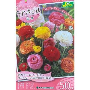 【花球根】ラナンキュラス 混合 50ml入 カネコ種苗の球根｜gardeningivy