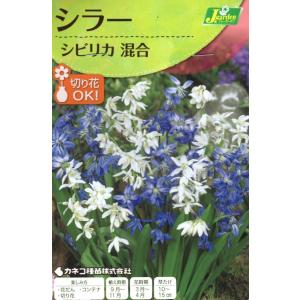 花球根 シラー シビリカ 混合 10球入 カネコ種苗の球根