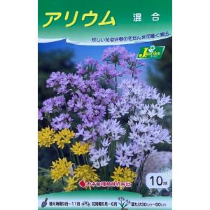 【花球根】アリウム 混合 10球入 カネコ種苗の球根の商品画像