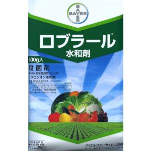 【殺菌剤】ロブラール水和剤　500ｇ