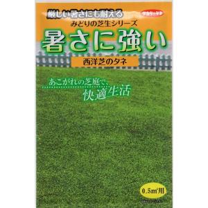 芝種子 西洋芝 暑さに強い西洋芝(芝草) サカタのタネの商品画像
