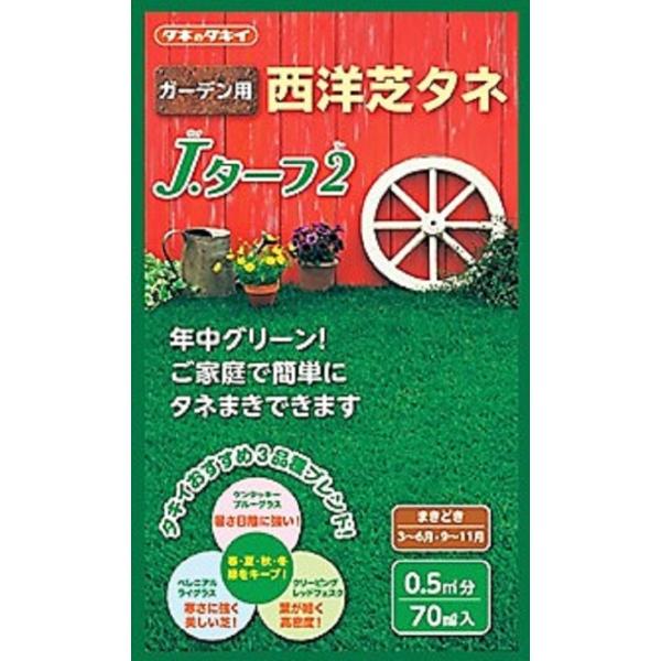 【種子】西洋芝 J・ターフ2 70ml タキイ種苗のタネ