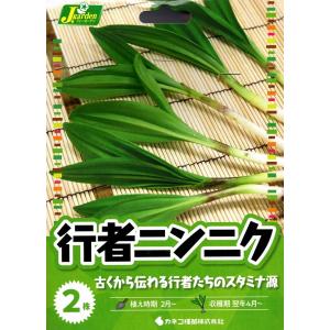 野菜球根 行者ニンニク 2株入 カネコ種苗の球根