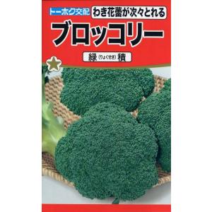 野菜種子 ブロッコリー 緑積 トーホクのタネ