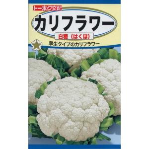 【希少】ラスト3個！大人気！ブロッコリー種子 （SK9-099 )5000粒 SK9-099 ブロッコリー種子 ペレット5000粒 【野菜種子】【サカタのタネ