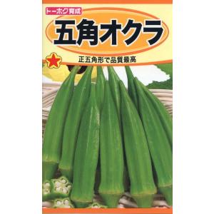 野菜種子 五角オクラ トーホクのタネ