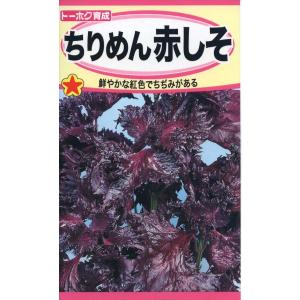 野菜種子 ちりめん 赤しそ トーホクのタネ