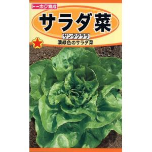 野菜種子 サラダ菜 サンタクララ トーホクのタネ