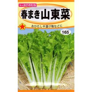 野菜種子 やわらか夏菜(サントウサイ) トーホクのタネ : Gardener s