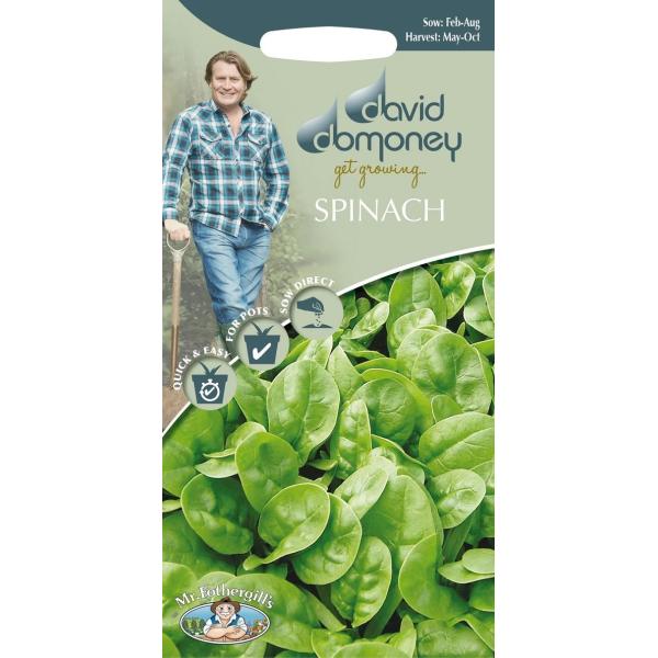 【種子】 Mr.Fothergill&apos;s Seeds david domoney SPINACH E...