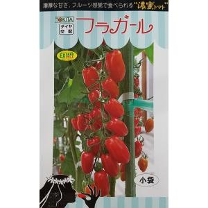 【種子】ミニトマト フラガール トキタ種苗のタネ｜gardeningivy