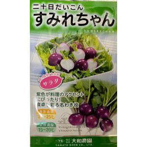 野菜種子 ニンジン 時なし五寸人参 紅彩（べにさい） トーホクのタネ