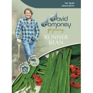 【種子】 Mr.Fothergill's Seeds david domoney RUNNER BEAN Galaxy デイヴィッド・ドモニー ランナービーン ギャラクシー