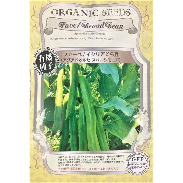 【有機種子】ファーべ/イタリアそら豆 ＜アグア ドゥルセ スペルシモニア＞ グリーンフィールドプロジ...