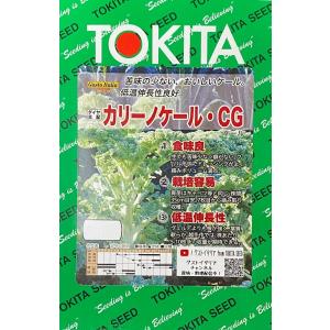 未開封 SK9-099 ブロッコリー コート種子 5000粒 ぺレット サカタ SK9-099[ブロッコリー] - e-種や｜国内最大級の野菜種・花種・苗・農業
