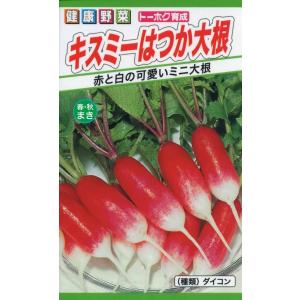 野菜種子 キスミーはつか大根 トーホクのタネ