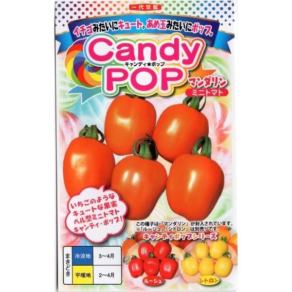 【種子】Candy Pop(キャンディポップ) マンダリン ミニトマト ナント種苗のタネ