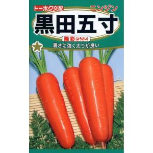 野菜種子 ニンジン 黒田五寸 陽彩(ようさい) ...の商品画像