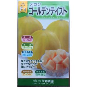 メロン ゴールデンテイスト 大和農園のタネ