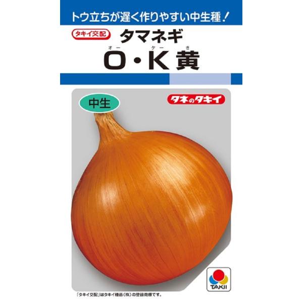 【種子】タマネギ O・K黄 タキイ種苗のタネ