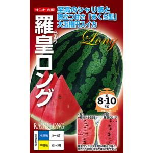 野菜種子 西瓜(スイカ) 羅皇ロング ナント種苗のタネの商品画像