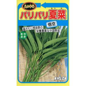 ハーブ種子 マロウ（うすべにあおい） 藤田種子のタネ : Gardener s