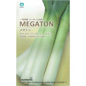 野菜種子 一代交配 LEEK MEGATON リーキ メガトン 丸種のタネ