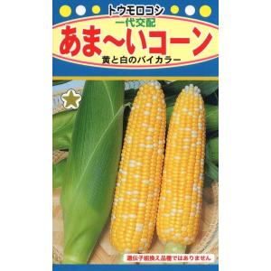 野菜種子 スイートコーン 白いおおもの 2000粒 ナント種苗のタネ
