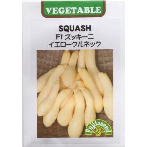 野菜・種/苗 青実はやとうり 千成うり 千成瓜 隼人瓜 ハヤトウリ 種