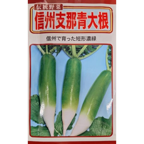 【種子】伝統野菜 信州支那青大根 トーホクのタネ