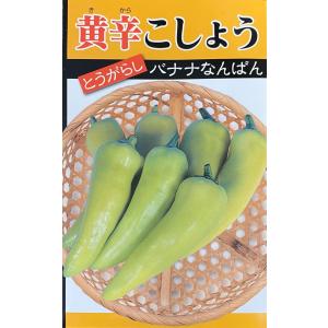 【種子】とうがらし 黄辛こしょう バナナなんばん 日本タネセンターのタネ｜gardeningivy