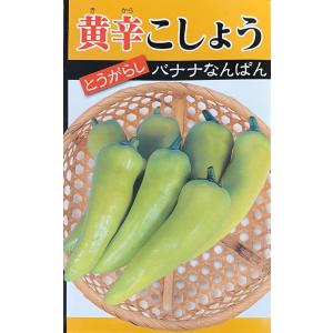 toさん専用　ちばちゃんの安心♡元気なタネと、果樹苗と、野菜たち 野菜種子 ミニトマト チョコちゃん トキタ種苗のタネ : Gardener s