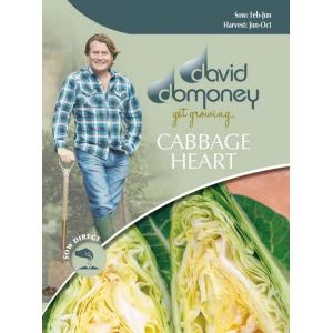 【種子】 Mr.Fothergill's Seeds david domoney CABBAGE Heart Dutchman デイヴィッド・ドモニー キャベッジ ダッチマン ミスター・フォザーギルズシード｜gardeningivy